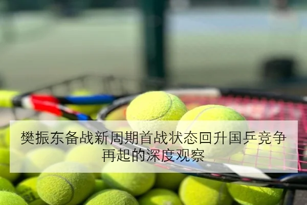 樊振东备战新周期首战状态回升国乒竞争再起的深度观察