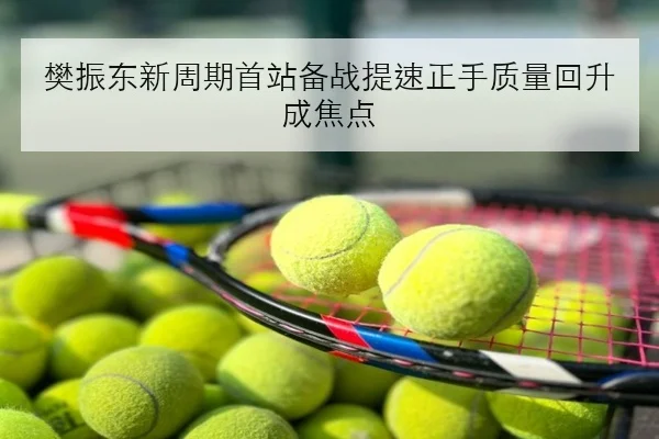 樊振东新周期首站备战提速正手质量回升成焦点